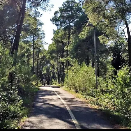 Tip Downtown Appartement *