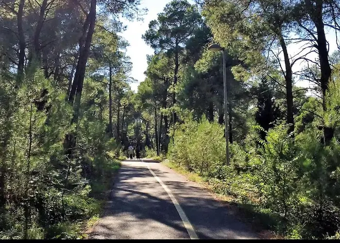 Tip Downtown Lejlighed *